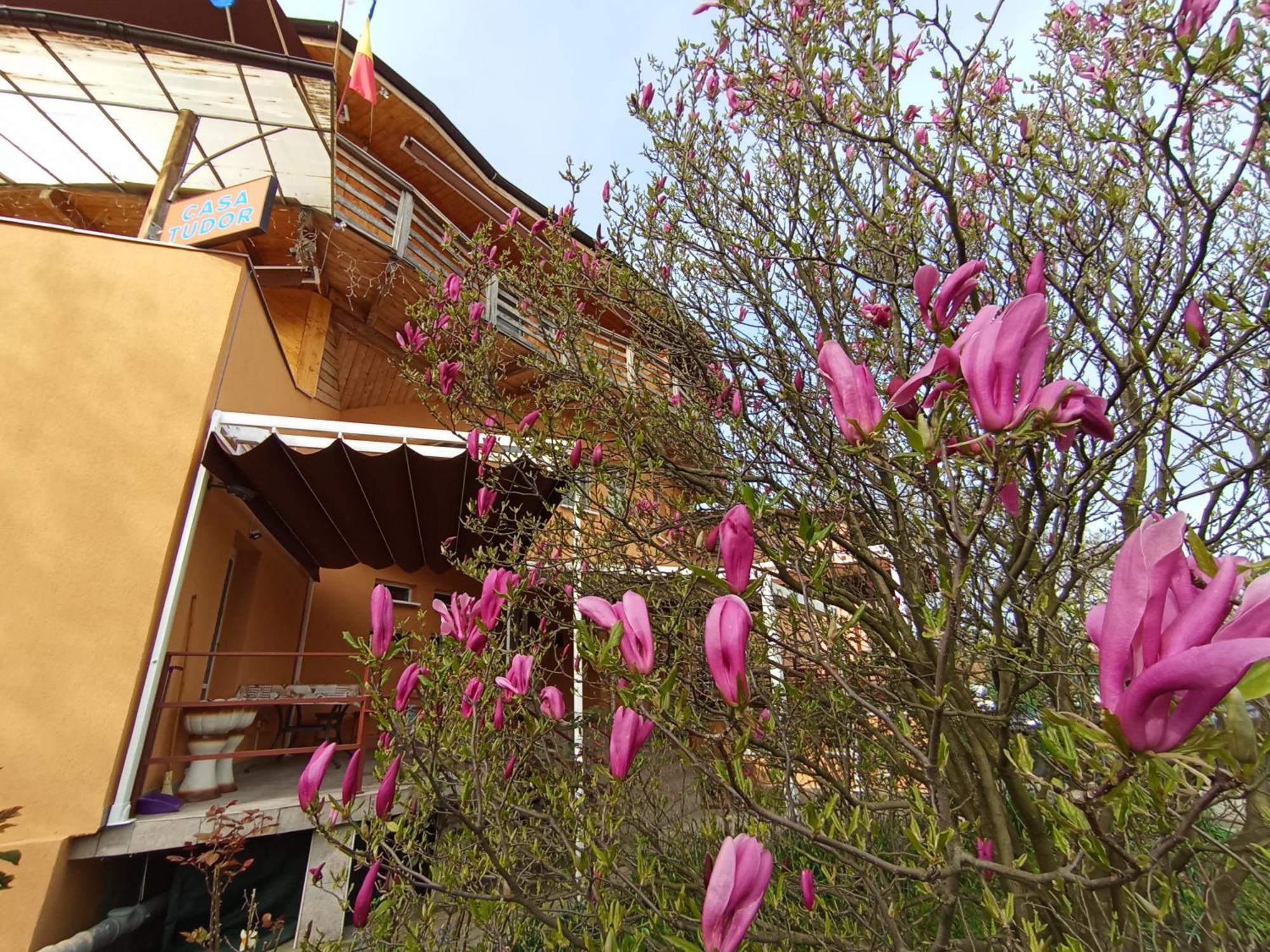Casa Tudor Турда Екстериор снимка