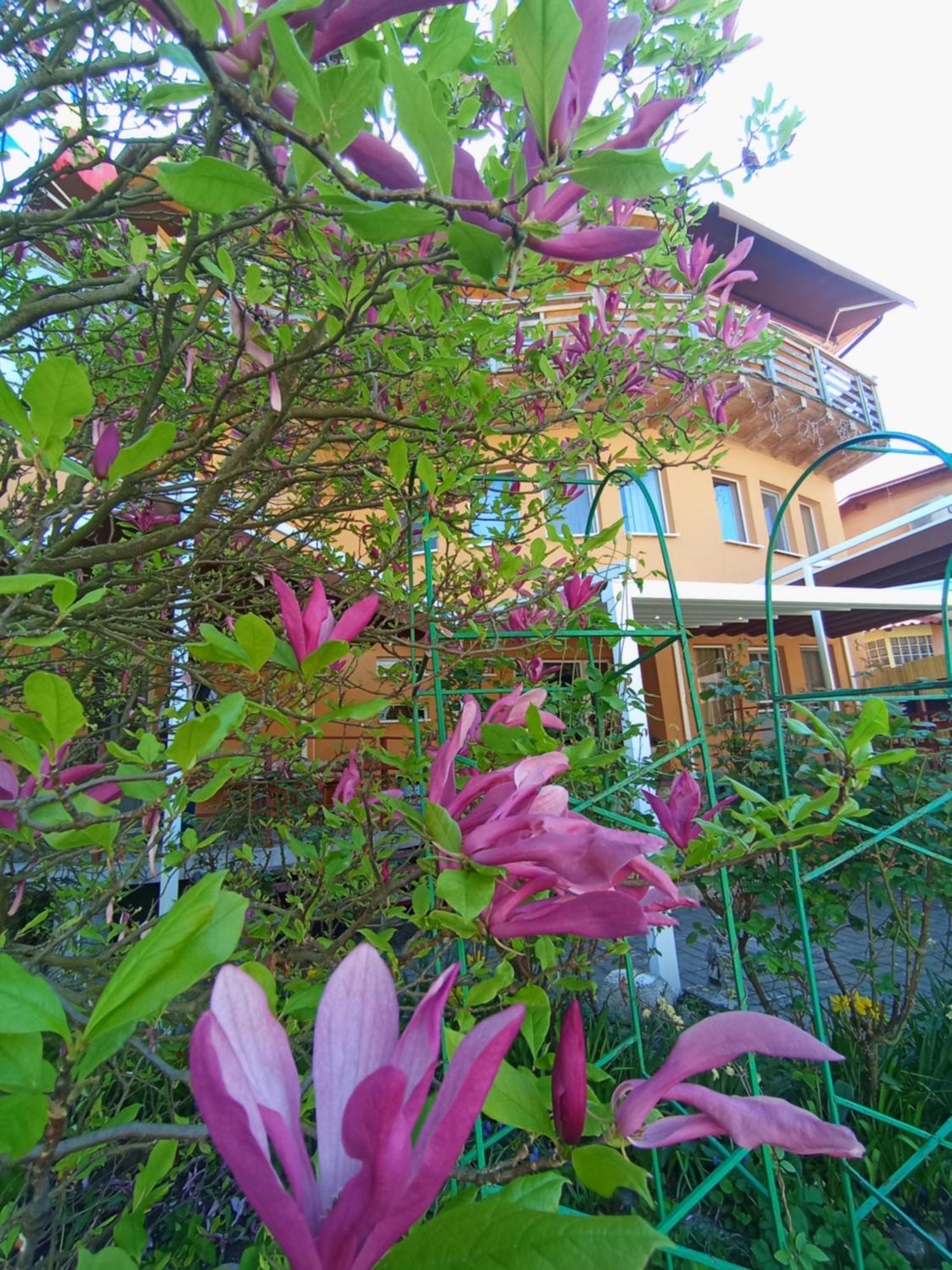 Casa Tudor Турда Екстериор снимка
